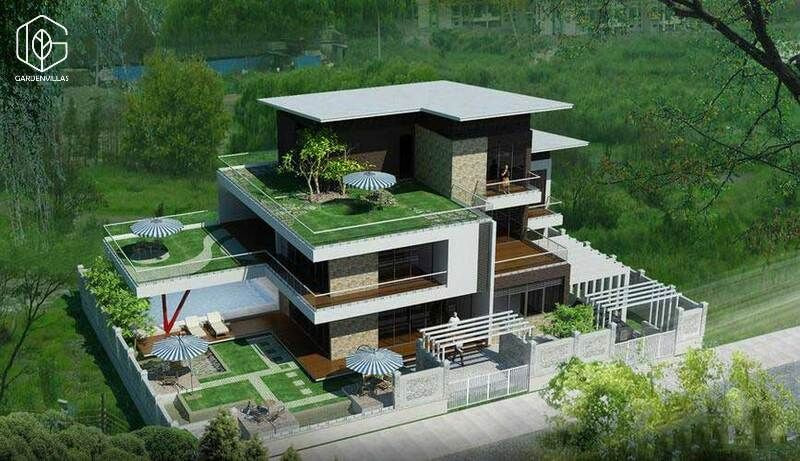 thiet ke san vuon