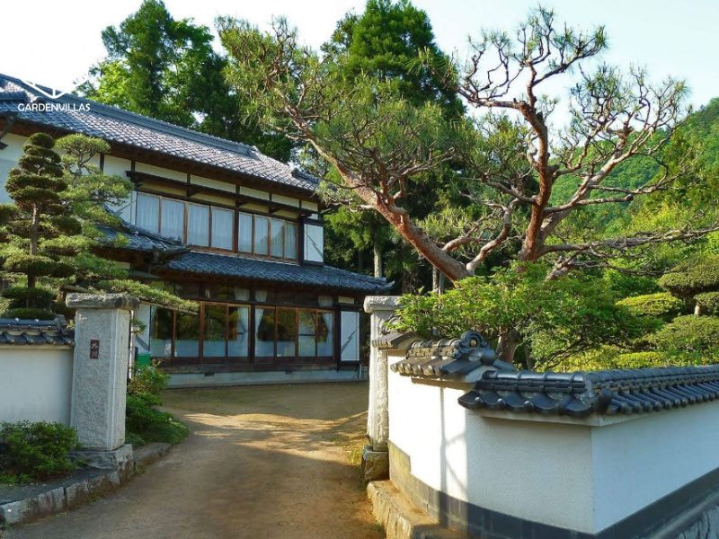 thiết kế nhà vườn 8x20