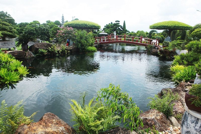 thiet ke san vuon