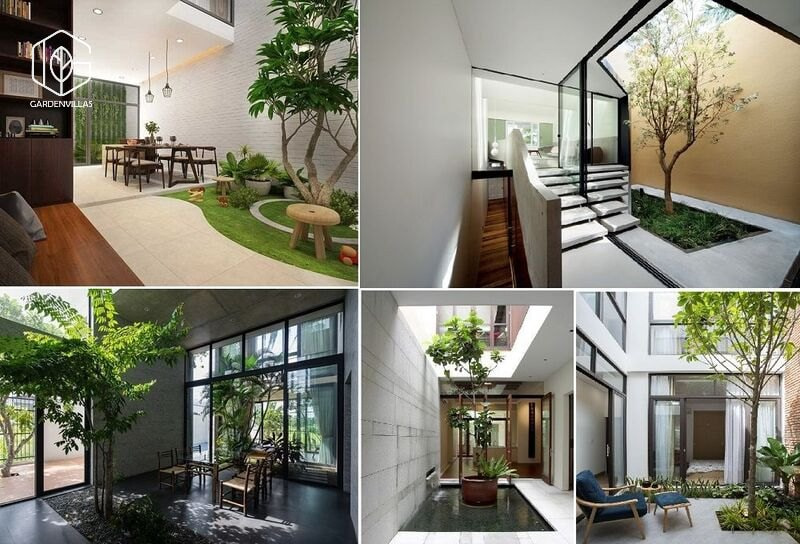 thiết kế nhà có sân vườn ở giữa