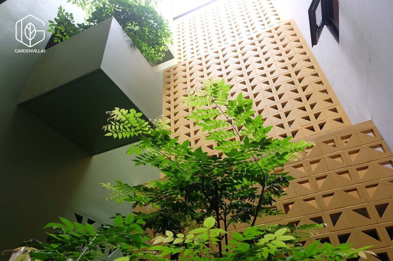 thiết kế nhà có sân vườn ở giữa